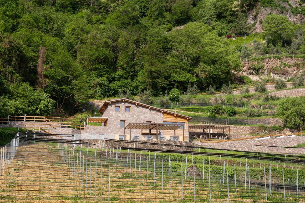 Agriturismo Scraleca Angolo Terme Eksteriør bilde